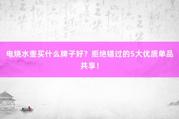 电烧水壶买什么牌子好？拒绝错过的5大优质单品共享！