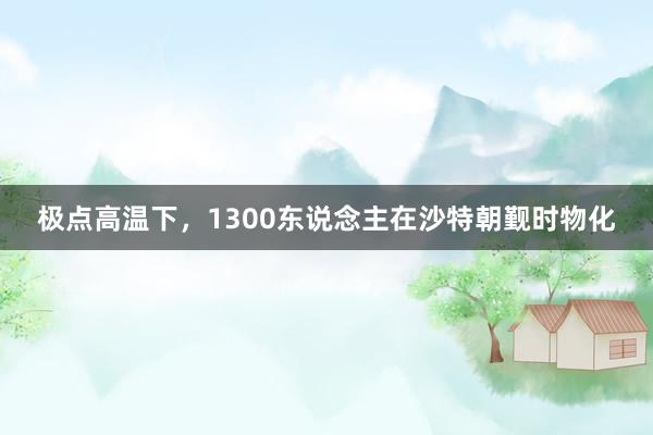 极点高温下，1300东说念主在沙特朝觐时物化