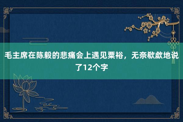 毛主席在陈毅的悲痛会上遇见粟裕，无奈欷歔地说了12个字