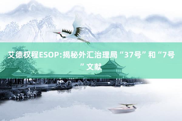 艾德权程ESOP:揭秘外汇治理局“37号”和“7号”文献