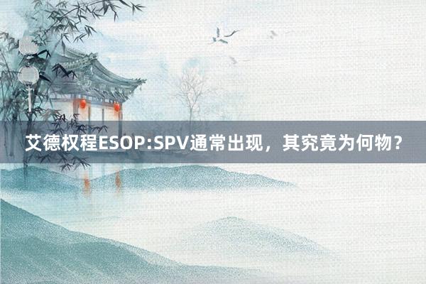 艾德权程ESOP:SPV通常出现，其究竟为何物？