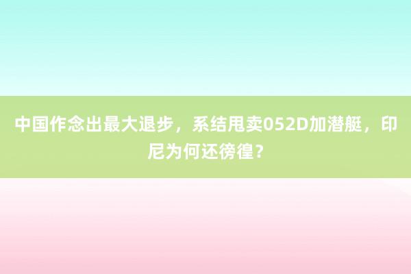 中国作念出最大退步，系结甩卖052D加潜艇，印尼为何还徬徨？