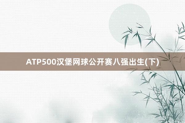 ATP500汉堡网球公开赛八强出生(下)