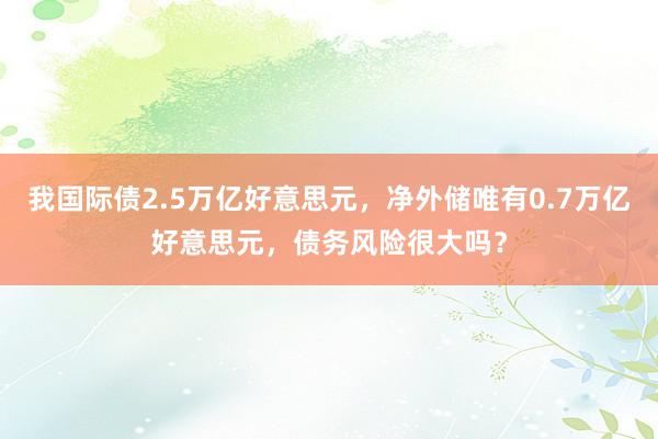 我国际债2.5万亿好意思元，净外储唯有0.7万亿好意思元，债务风险很大吗？